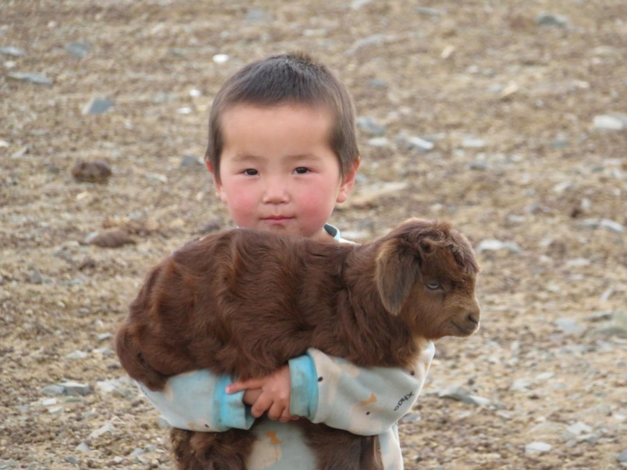 mongolia population 3